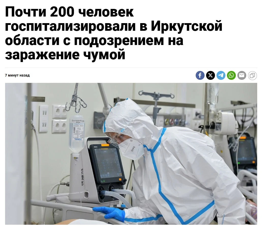 1000046176.webp