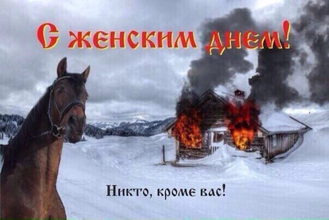 1000046418.webp