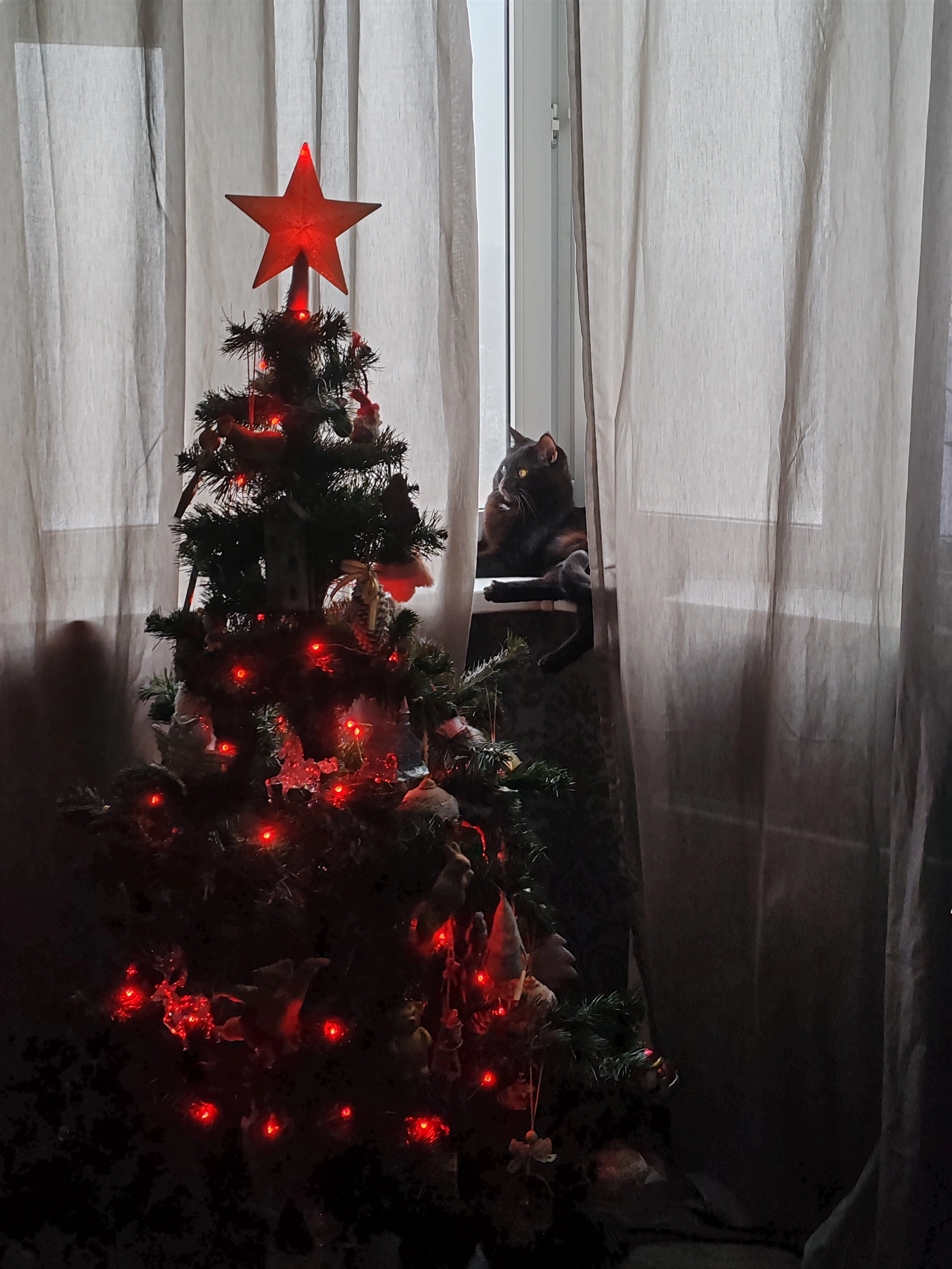 1000046673.webp