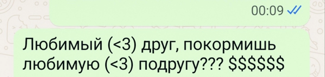 1000061152.webp