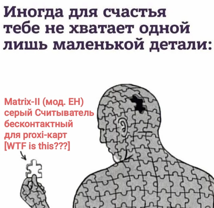 1000062351.webp