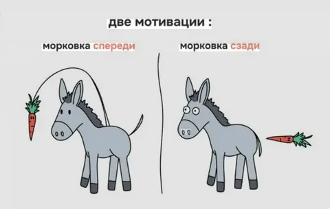1000069894.webp