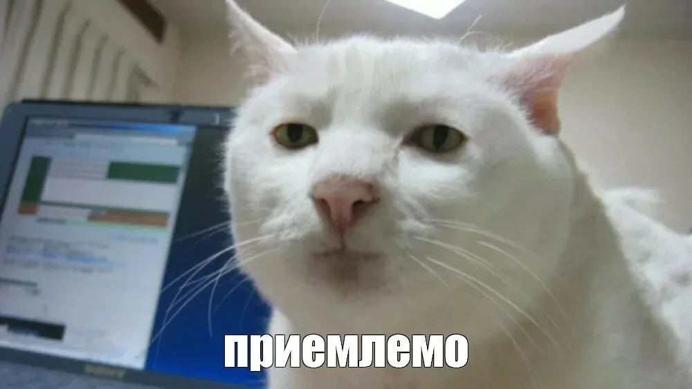 1000090119.webp