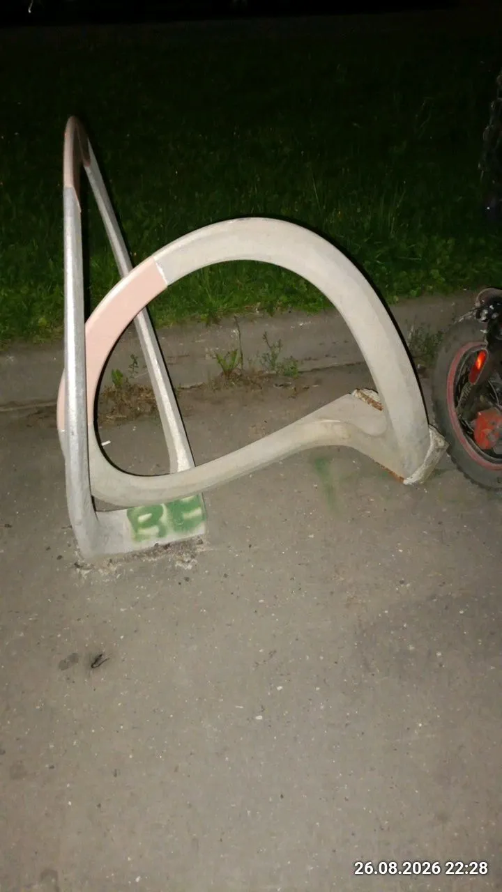 1000127236.webp