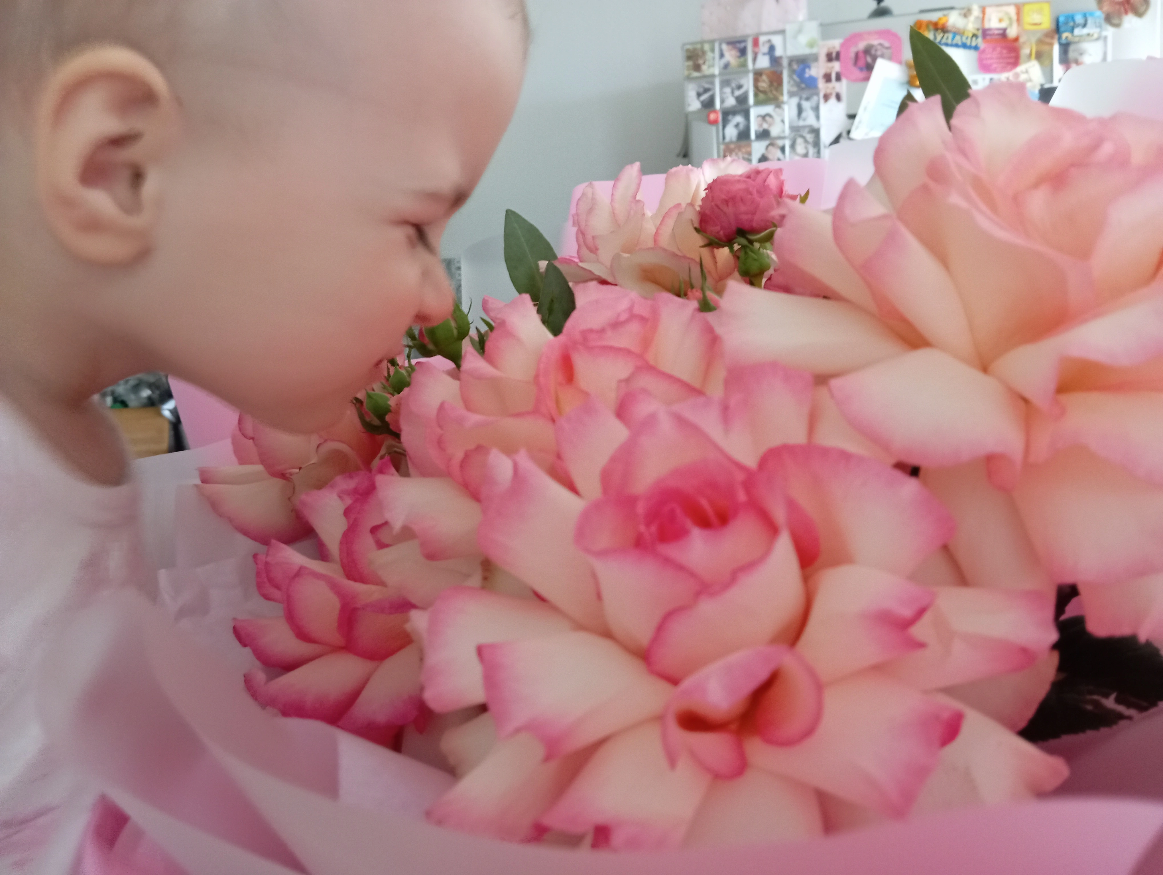 1000166518.webp