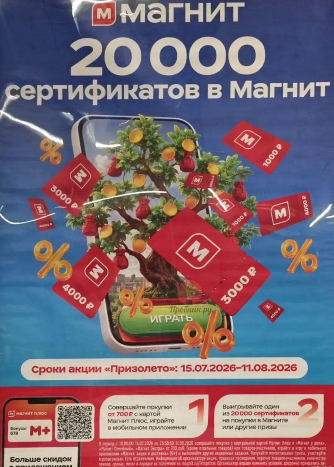 1000181452.webp