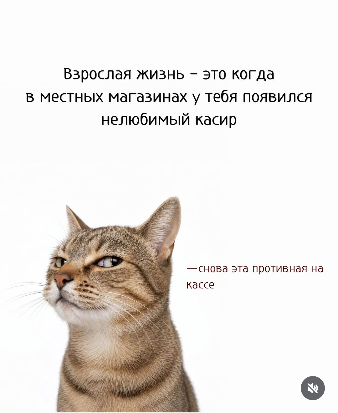 1000184332.webp