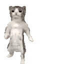 1000297154.gif