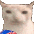1000842489.gif