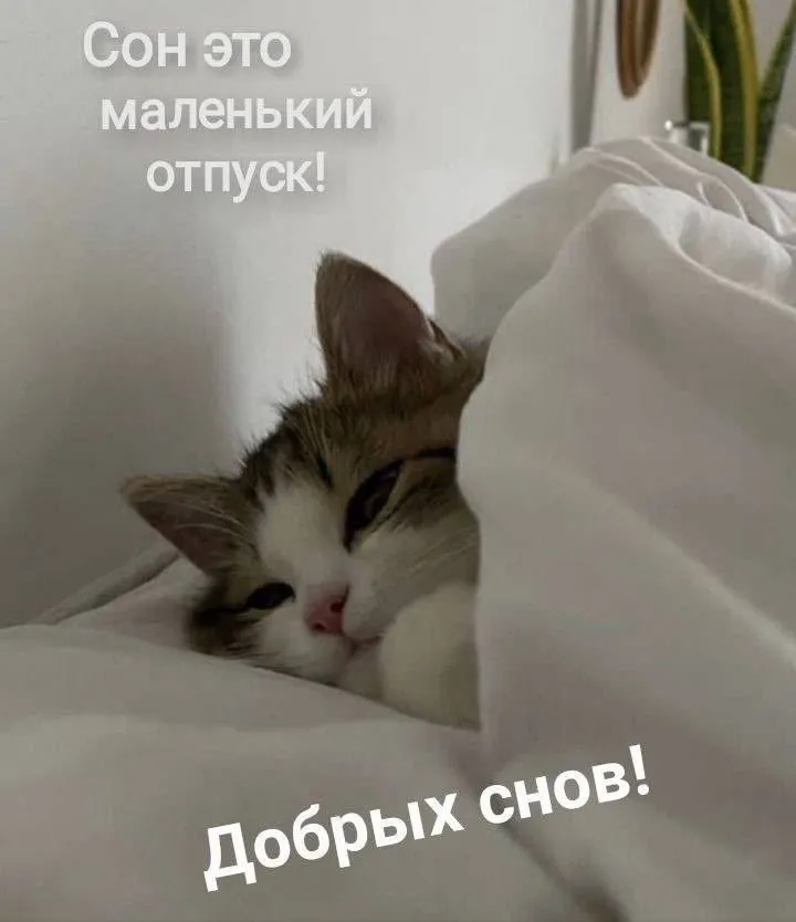 1000844098.webp