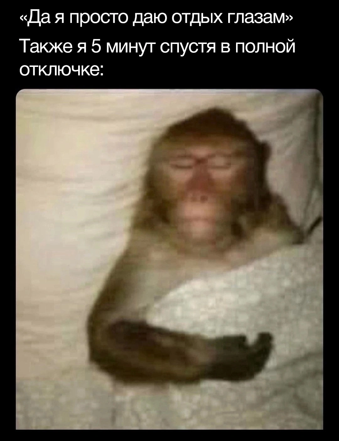 1000844231.webp