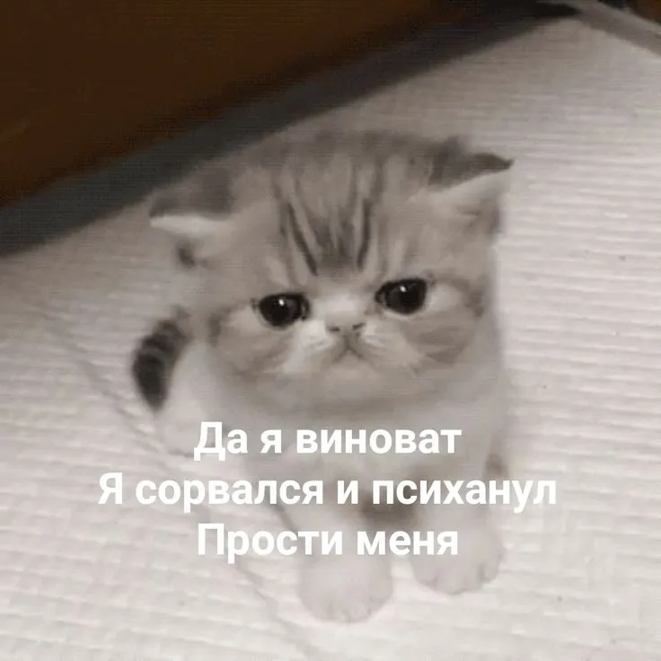1000844467.webp