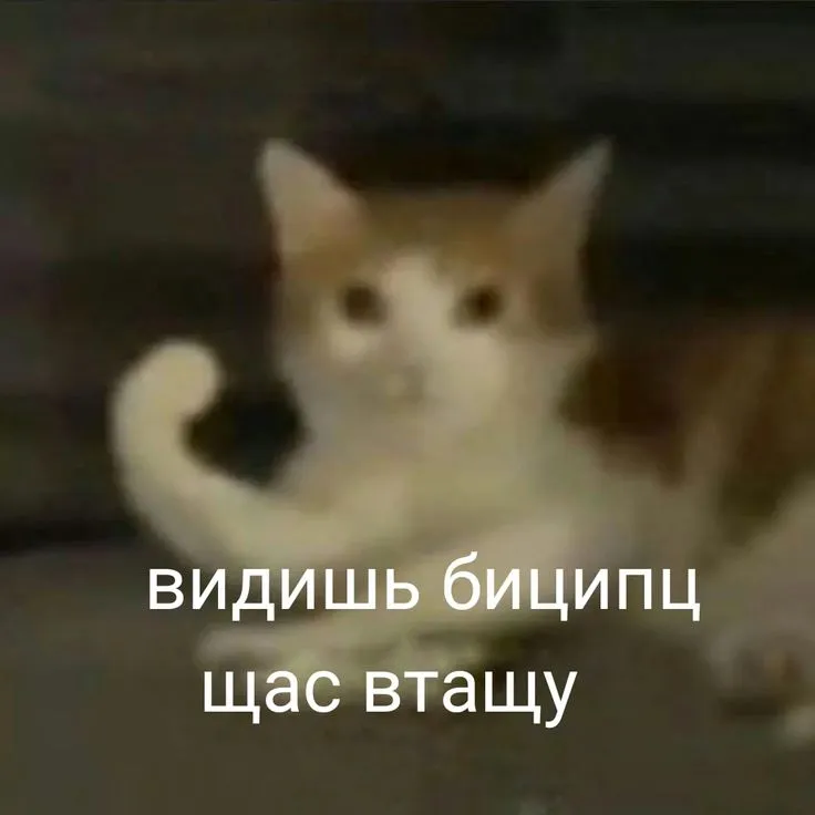 1000844474.webp