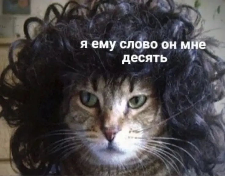 1000844500.webp