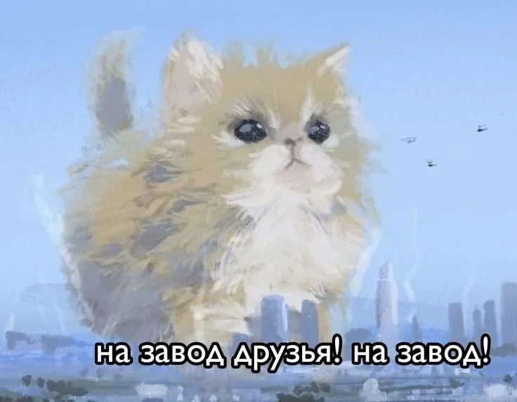 1000844511.webp