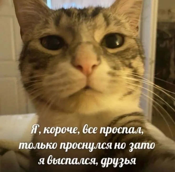 1000844512.webp
