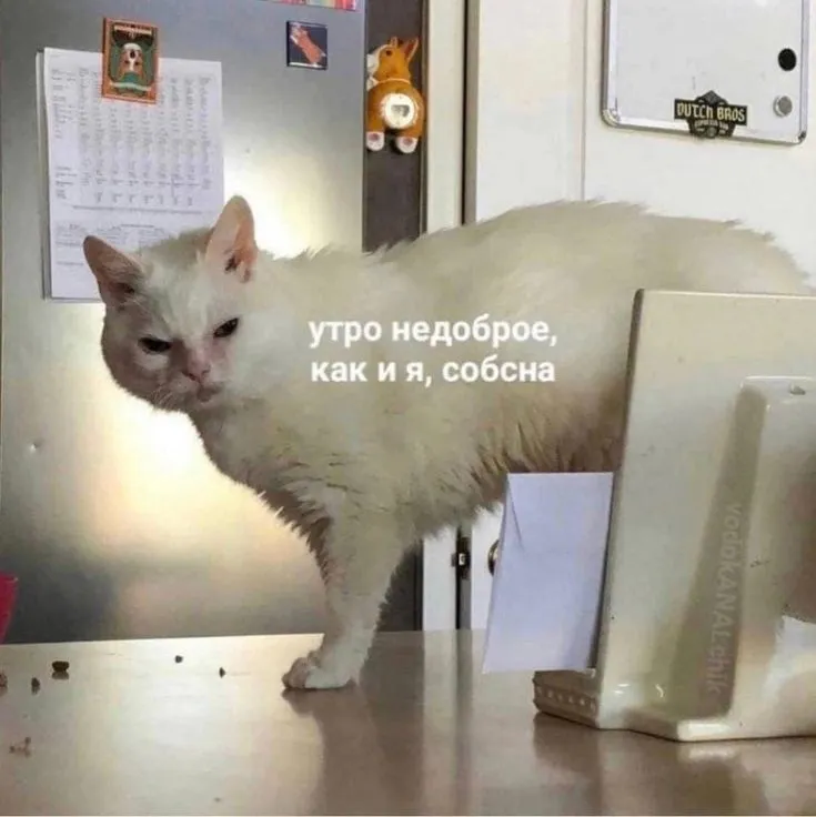 1000844543.webp
