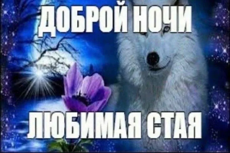 1000844545.webp