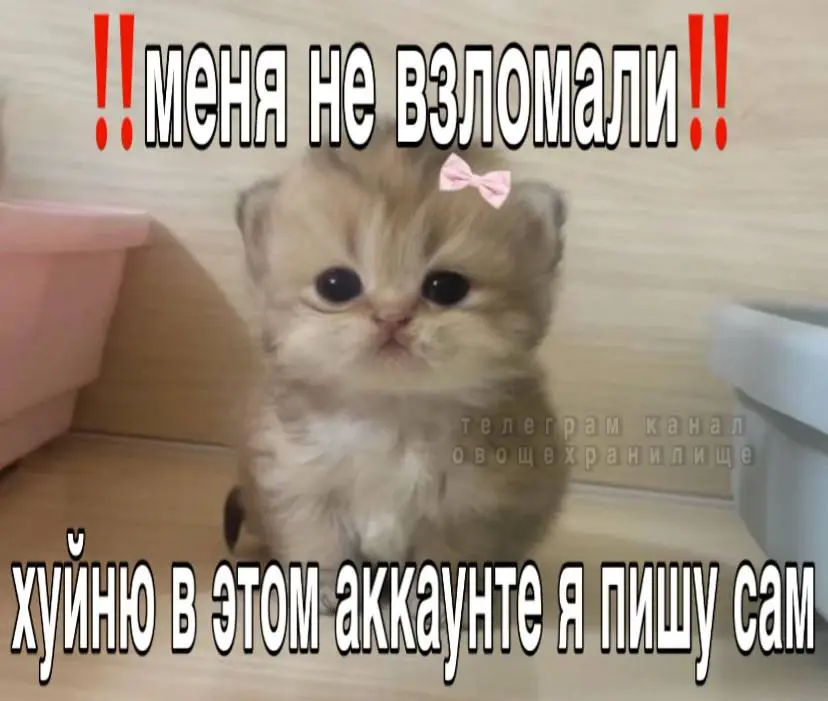 1000844546.webp