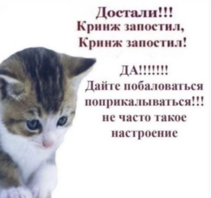 1000844571.webp