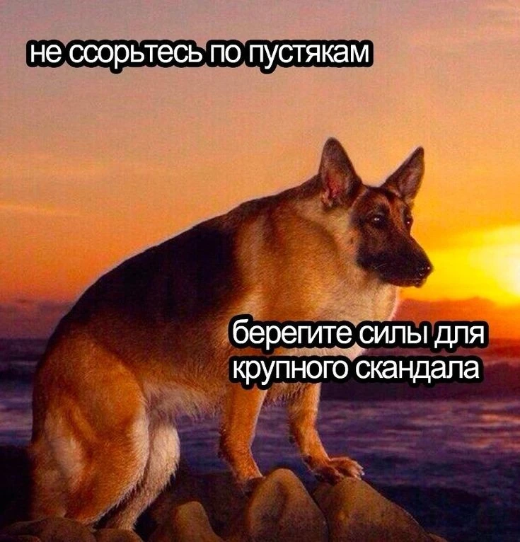 1000844572.webp