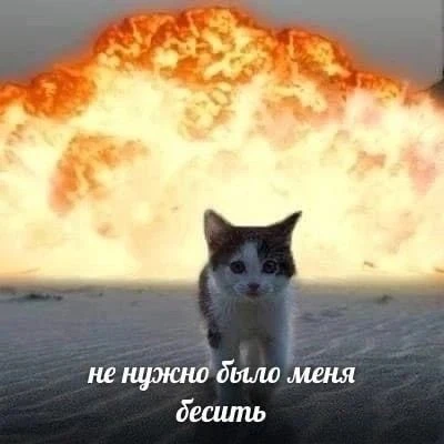 1000844606.webp