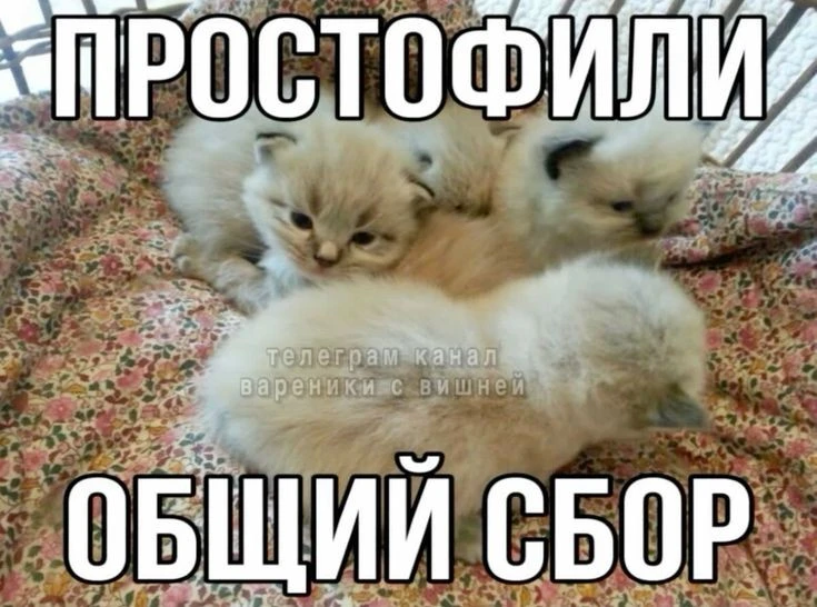 1000844608.webp