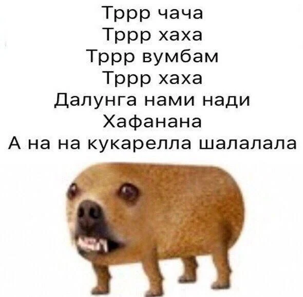 1000844624.webp
