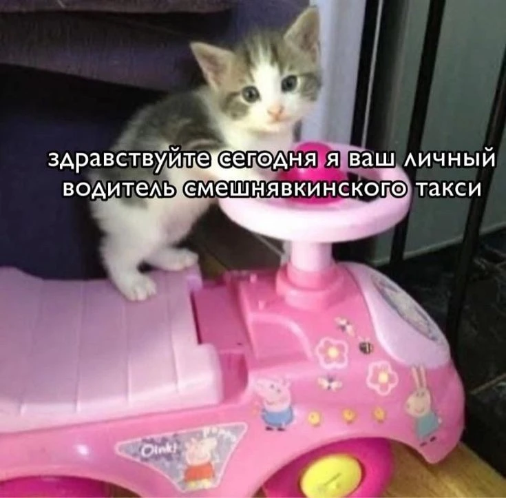1000844686.webp