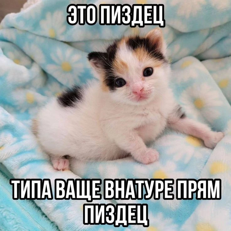 1000844719.webp