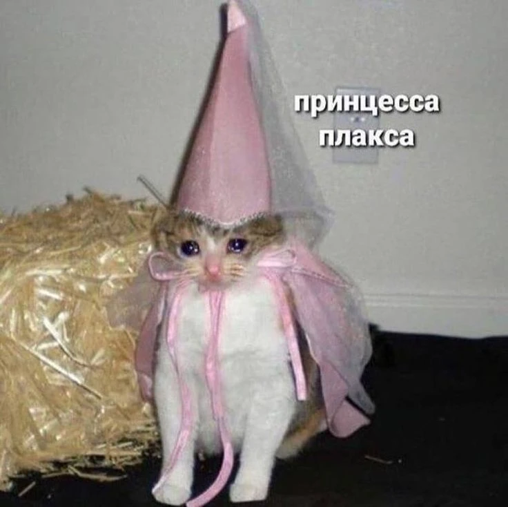 1000844721.webp
