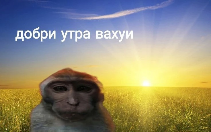 1000844854.webp