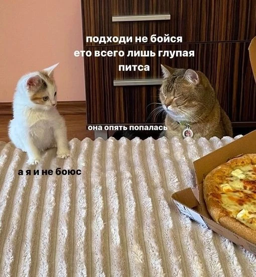 1000844868.webp