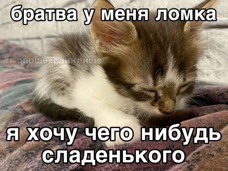 1000844881.webp