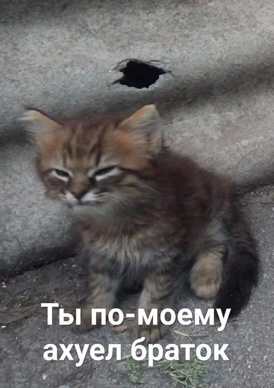 1000846186.webp
