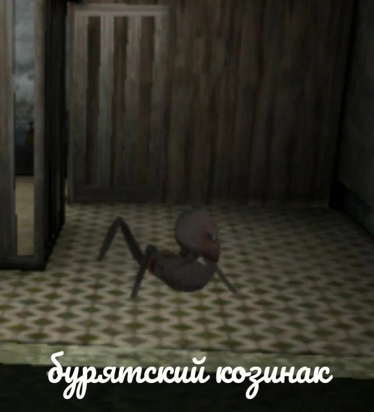 1000848959.webp