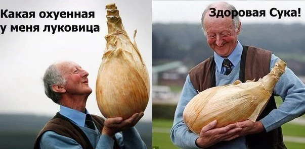 10092713.webp