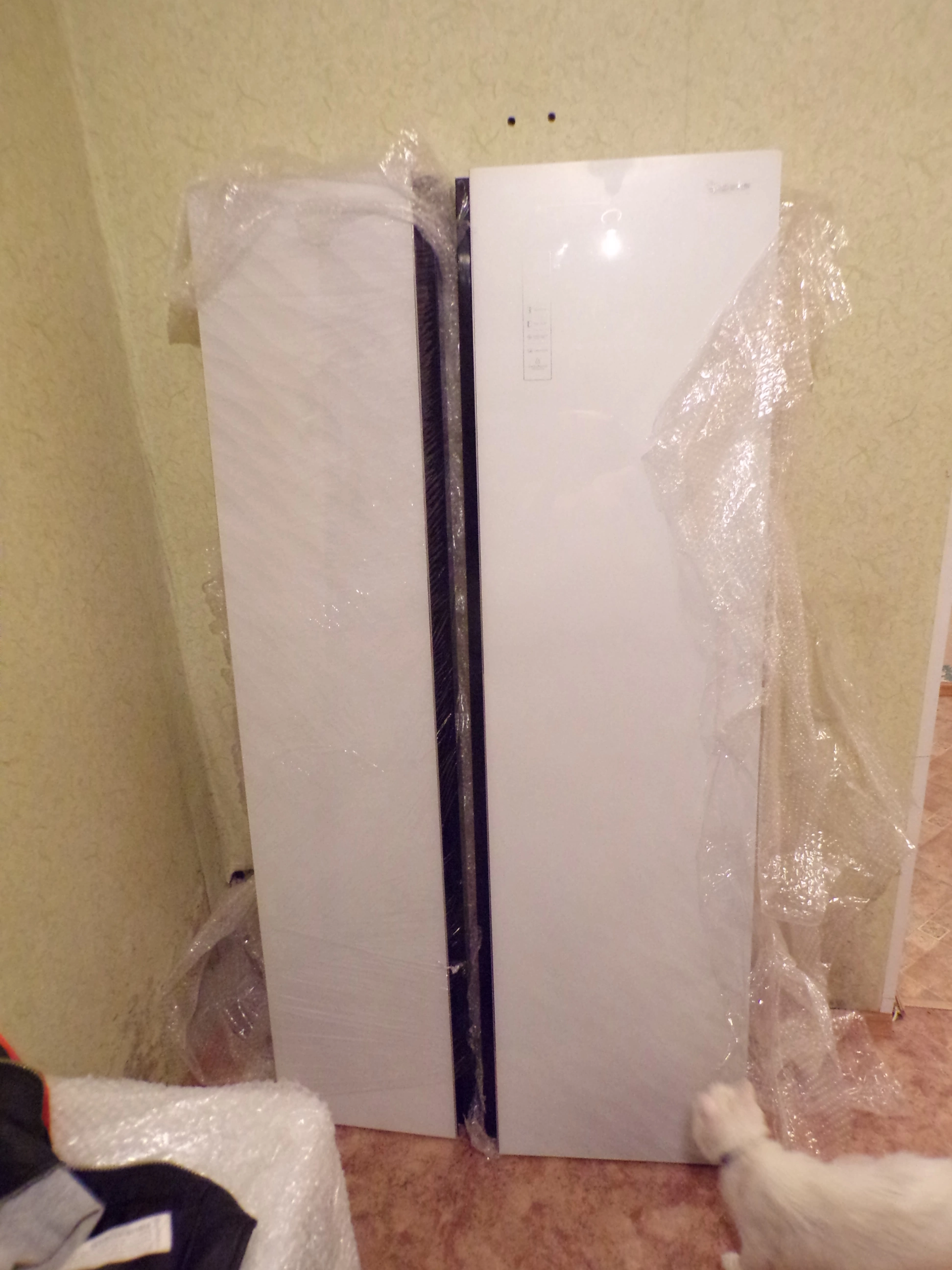 100_2200.webp