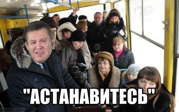 10198321.webp