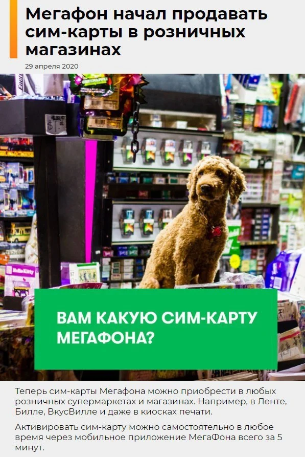 10758EE8-7A38-4E59-9114-6BA3FC59A1CD.webp