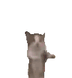 1076234958831616060.gif