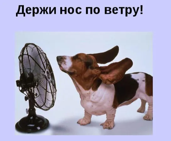10781606_cd9e73659b0d69b4c142р6249ec21b0aa_800_1.webp