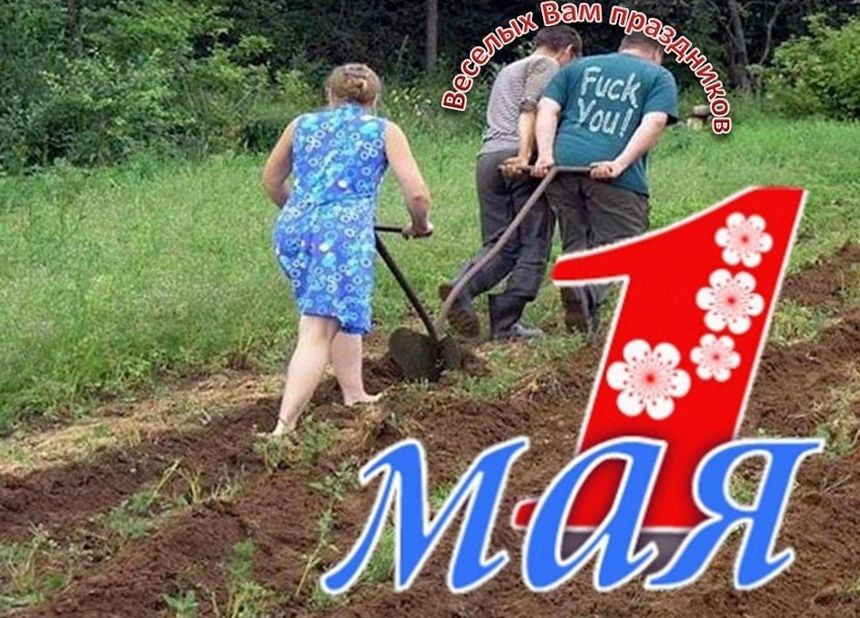 10e2ab1s-960.webp