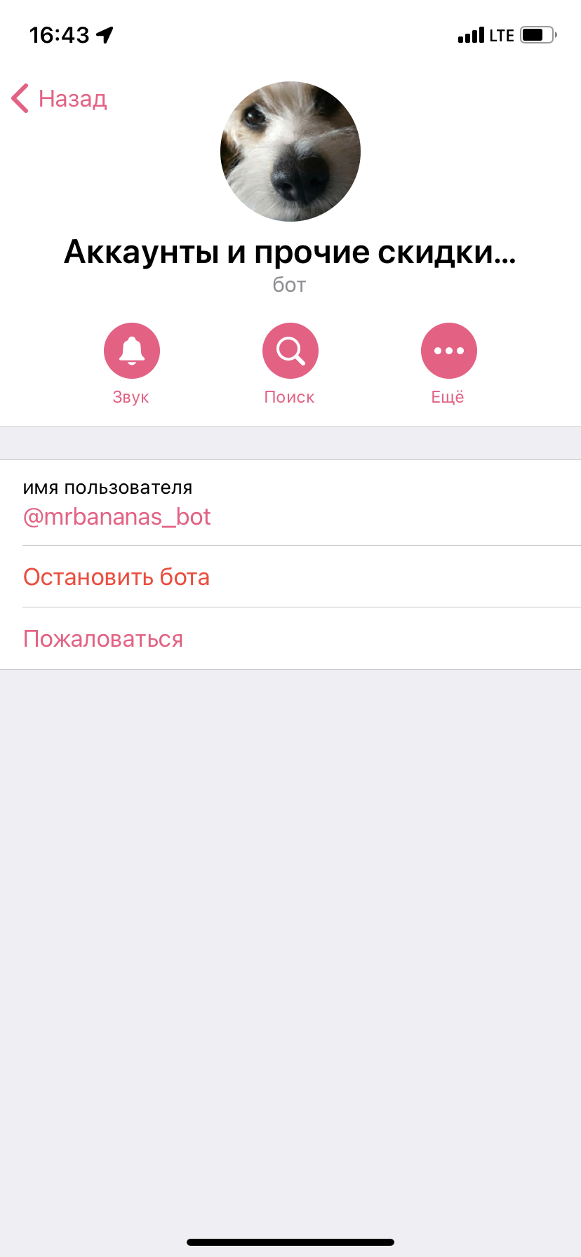 10F4F40E-EA98-42F8-93C2-E02C35CA45A6.webp