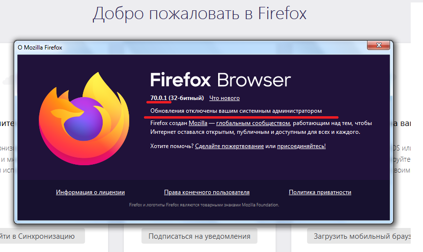 11.webp
