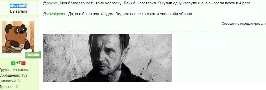 11.webp