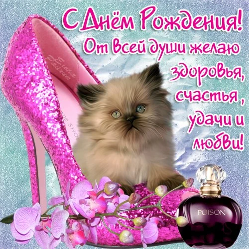 11.webp