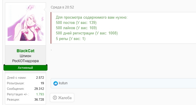 11.webp
