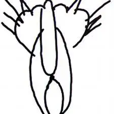 11.webp