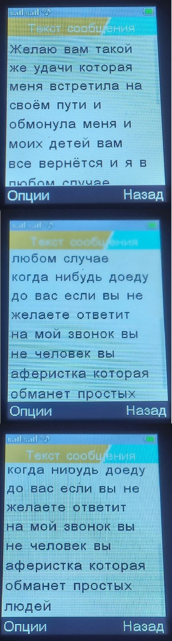 11.webp